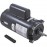 A. O. Smith Motor, Century, 1.0hp, 115v/230v, 1-Spd, 56Cfr, C-Face, Thd, EE