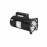 A. O. Smith A.O. Smith QC1072 Square Flange 0.75HP 115/230V Pool Pump Motor