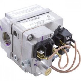 Zodiac Pool Solutions Jandy Zodiac R0200100 Gas Valve