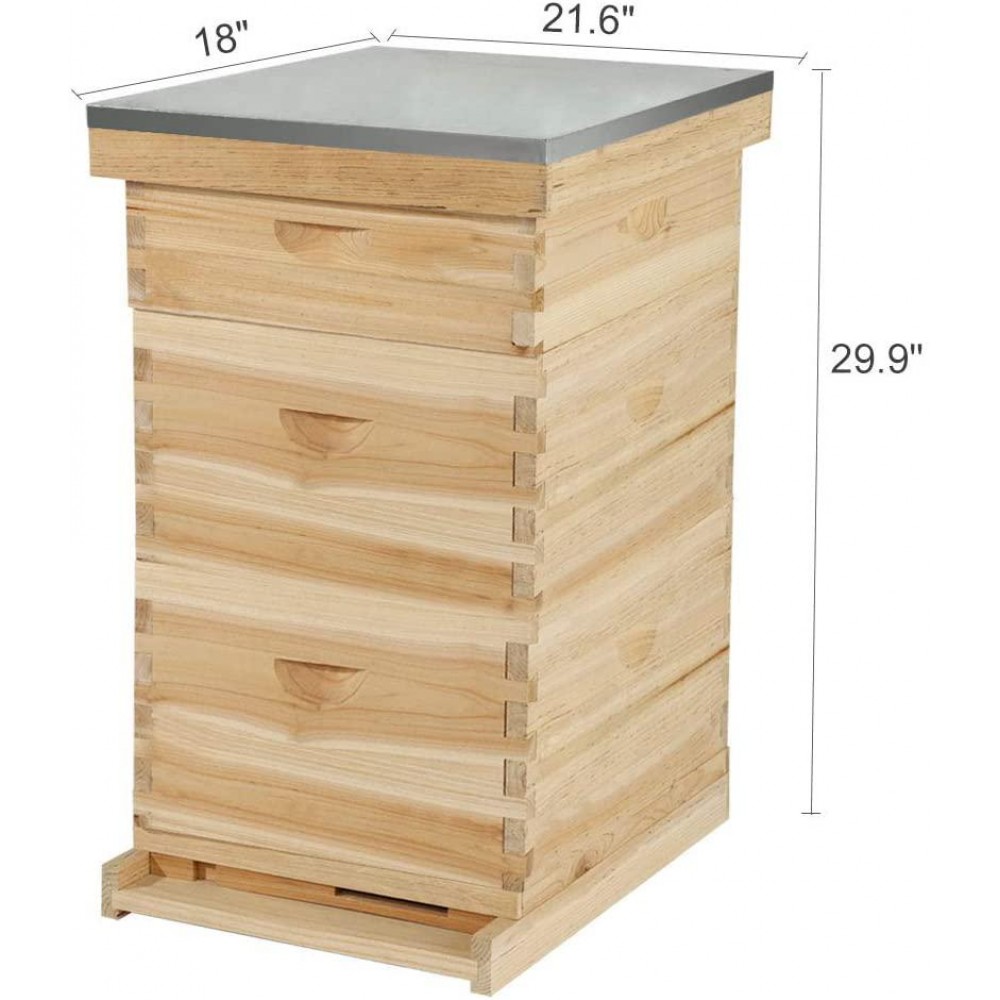 MorNon Natural Bee Hive 10 Frame Includes Frames and Foundations
